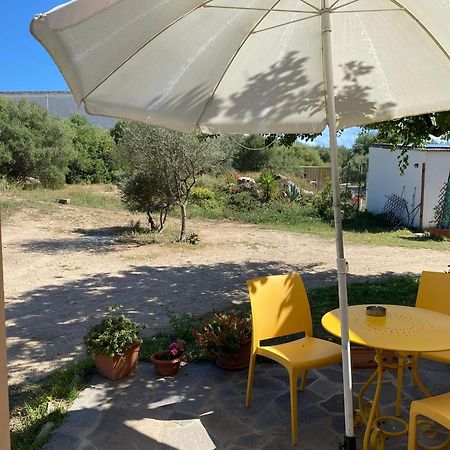 La Maison Di Zia Annina In Olbia Porta Della Costa Smeralda 올비아 외부 사진