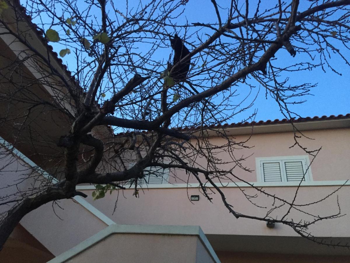 La Maison Di Zia Annina In Olbia Porta Della Costa Smeralda 올비아 외부 사진
