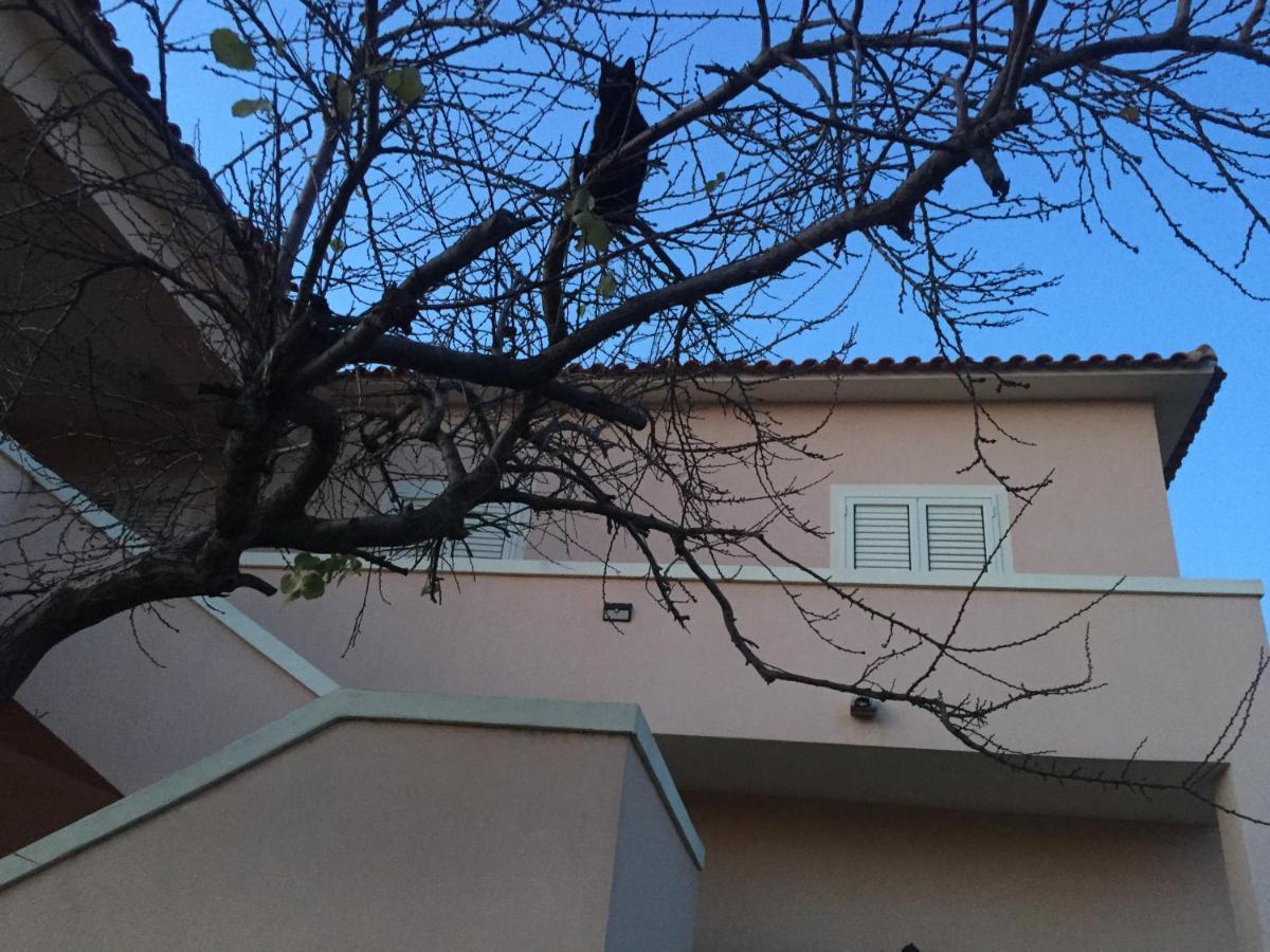 La Maison Di Zia Annina In Olbia Porta Della Costa Smeralda 올비아 외부 사진