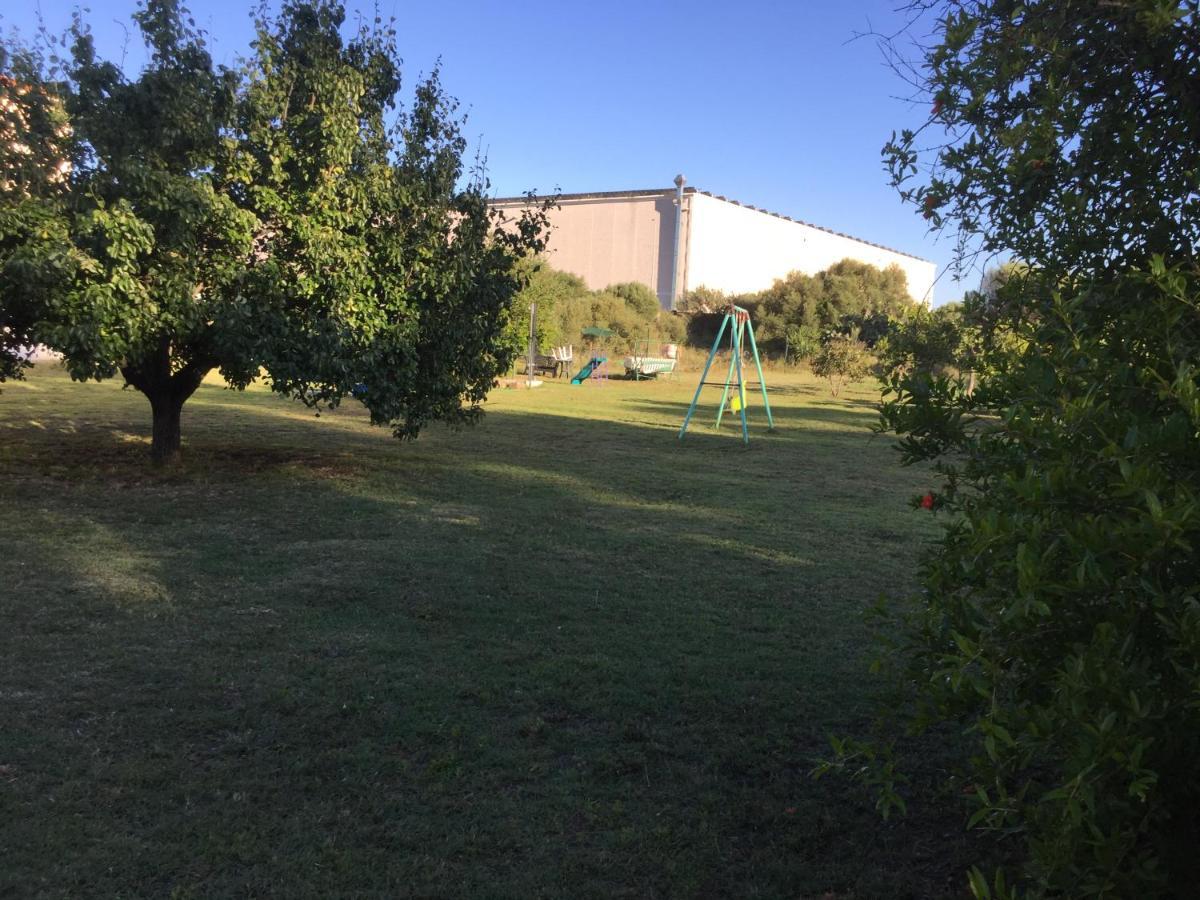 La Maison Di Zia Annina In Olbia Porta Della Costa Smeralda 올비아 외부 사진