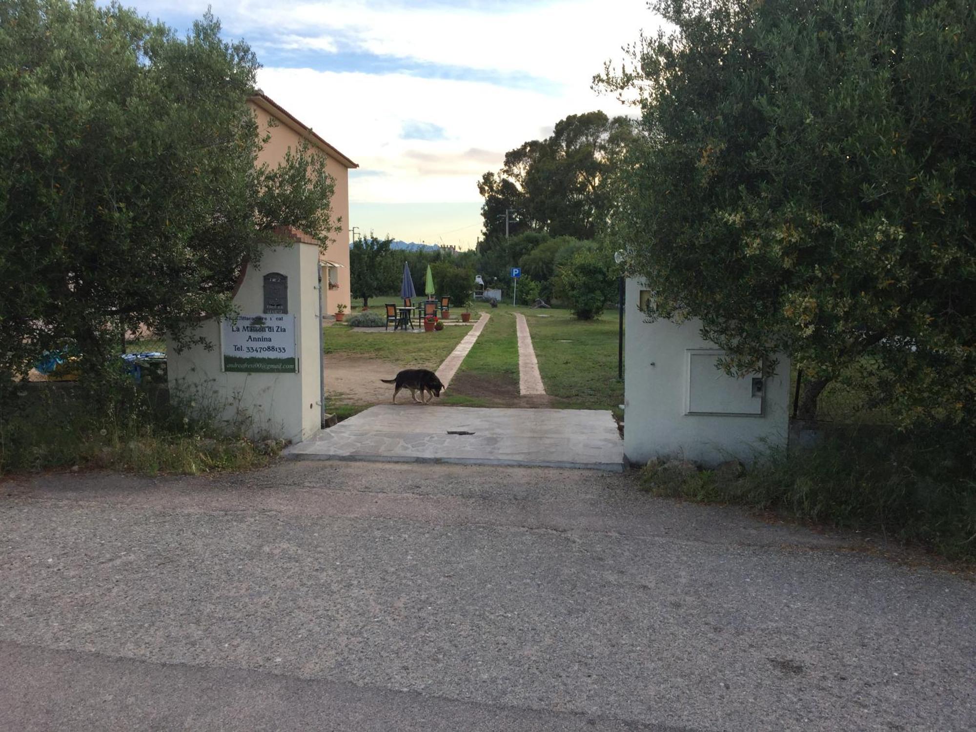 La Maison Di Zia Annina In Olbia Porta Della Costa Smeralda 올비아 외부 사진
