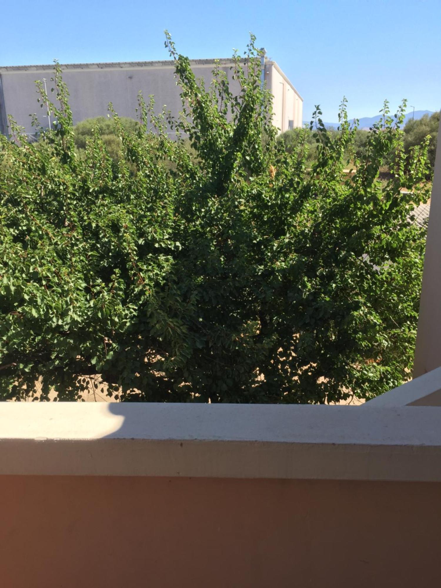 La Maison Di Zia Annina In Olbia Porta Della Costa Smeralda 올비아 외부 사진