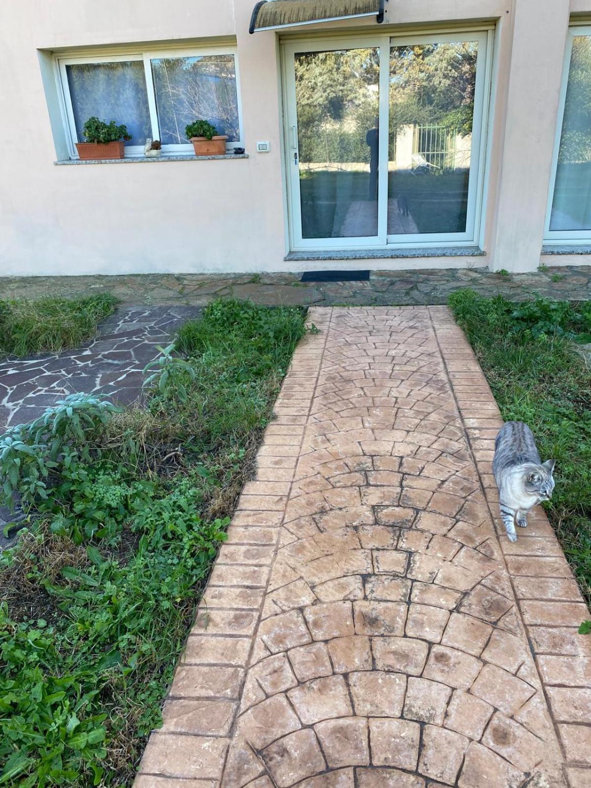 La Maison Di Zia Annina In Olbia Porta Della Costa Smeralda 올비아 외부 사진
