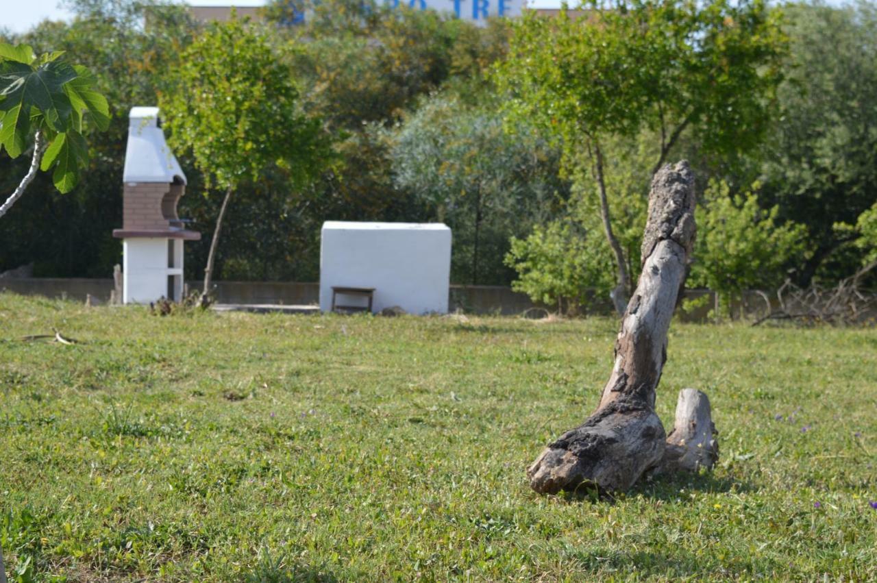 La Maison Di Zia Annina In Olbia Porta Della Costa Smeralda 올비아 외부 사진